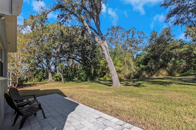 view of yard featuring a patio area