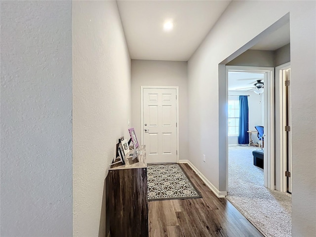 hallway with hardwood / wood-style flooring