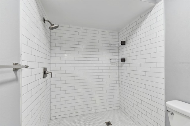 full bathroom featuring a shower stall and toilet