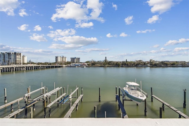 dock area with a water view