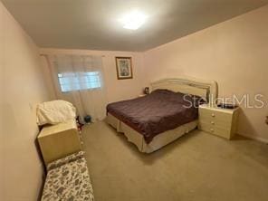 bedroom with carpet flooring