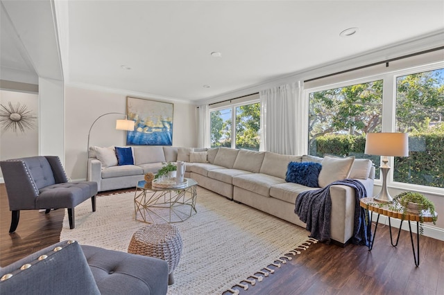 living room featuring crown molding and dark wood-type flooring