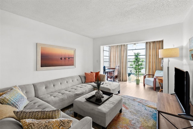 living room with hardwood / wood-style flooring and a textured ceiling