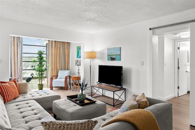 living room with a textured ceiling and light hardwood / wood-style flooring