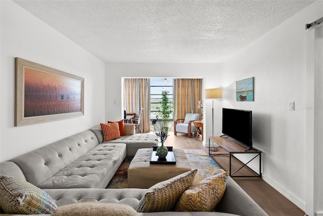 living room with hardwood / wood-style floors and a textured ceiling