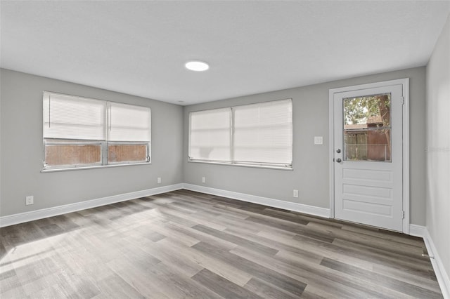 empty room featuring light wood-type flooring