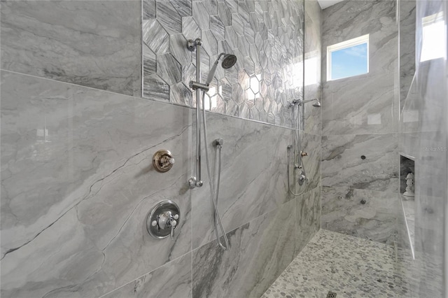 5713 Tybee Island Dr, Apollo Beach, FL 33572 - full bath featuring a tile shower