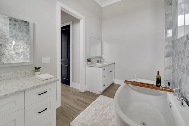 5713 Tybee Island Dr, Apollo Beach, FL 33572 - full bathroom with vanity, a soaking tub, wood finished floors, and baseboards
