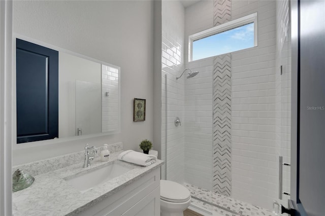 5713 Tybee Island Dr, Apollo Beach, FL 33572 - bathroom with vanity, toilet, and a stall shower