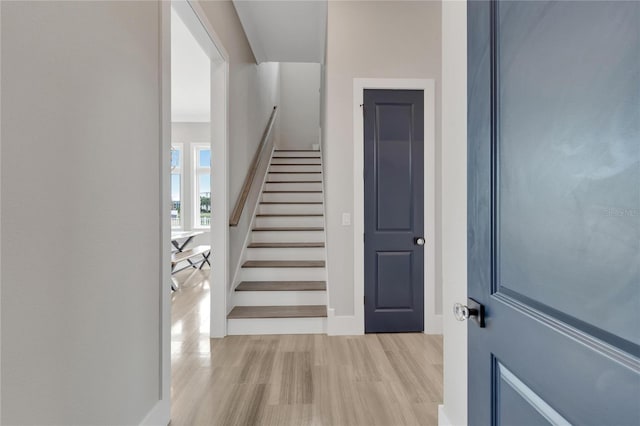 5713 Tybee Island Dr, Apollo Beach, FL 33572 - stairway featuring wood finished floors and baseboards