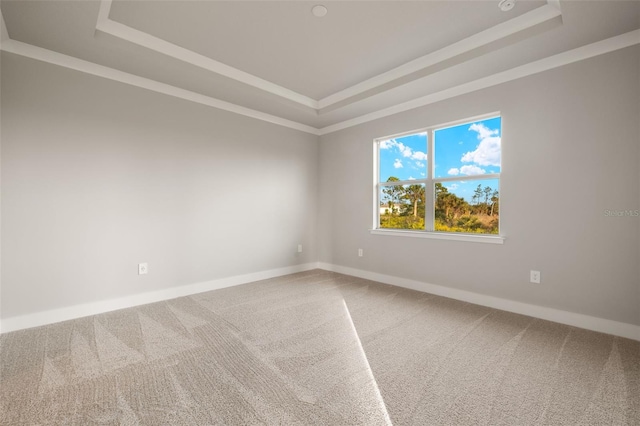 unfurnished room with ornamental molding, carpet floors, and a tray ceiling