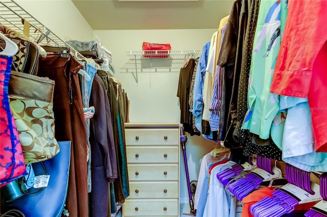 view of walk in closet