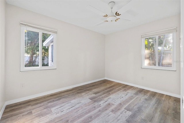 empty room with ceiling fan and light hardwood / wood-style flooring