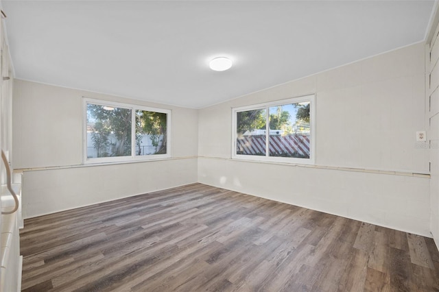 empty room with hardwood / wood-style floors, a healthy amount of sunlight, and lofted ceiling