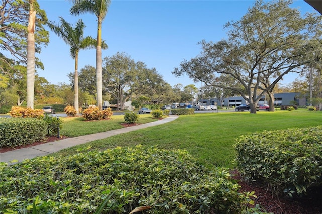 view of home's community featuring a lawn