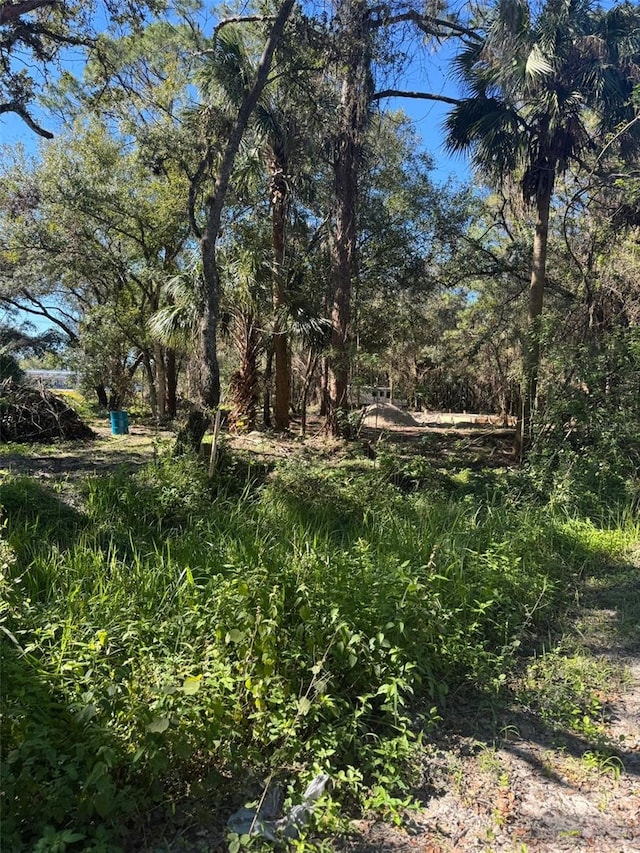 3145 NW 35th Dr, Okeechobee FL, 34972 land for sale