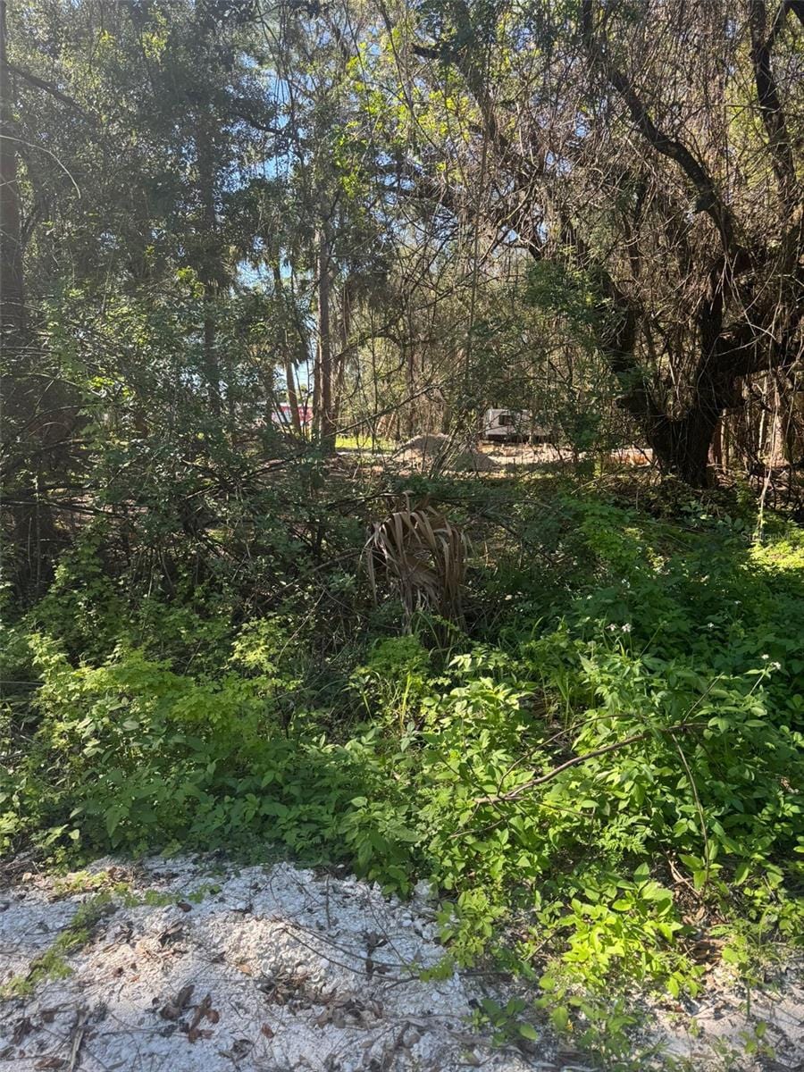 3145 NW 35th Dr, Okeechobee, FL 34972