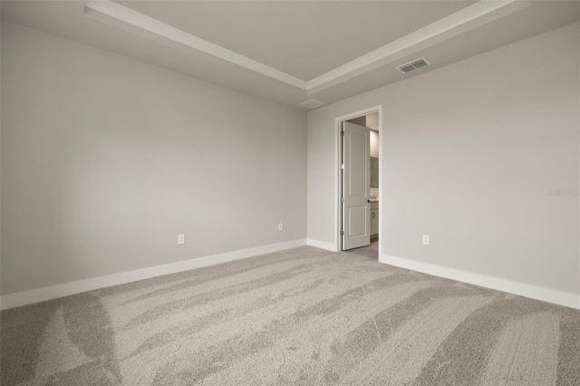 unfurnished room with a raised ceiling and carpet flooring