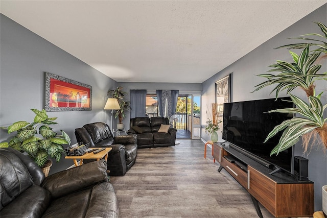 living room with wood-type flooring and a textured ceiling