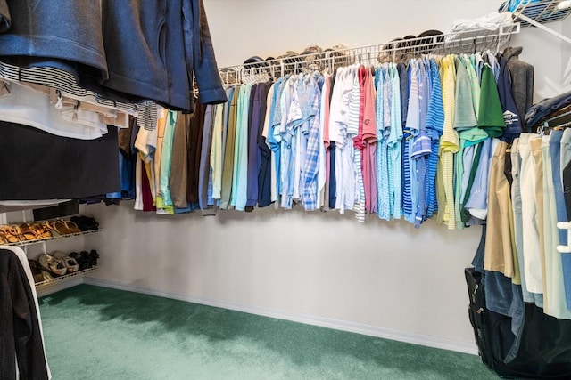 spacious closet featuring carpet floors