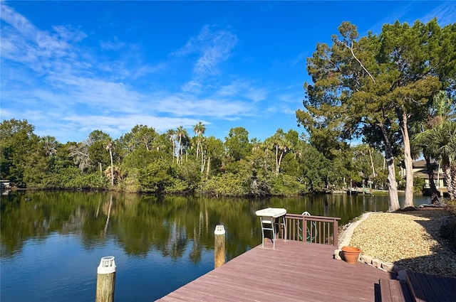 dock area with a water view