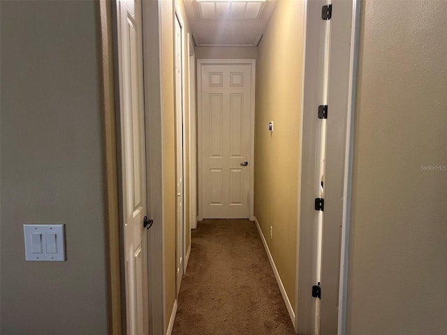 hall with carpet flooring