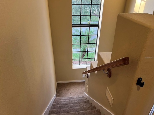 stairway featuring carpet floors