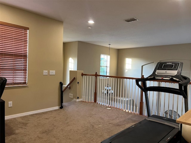 workout area with carpet floors