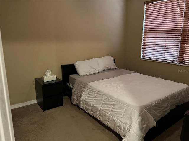 bedroom featuring carpet floors