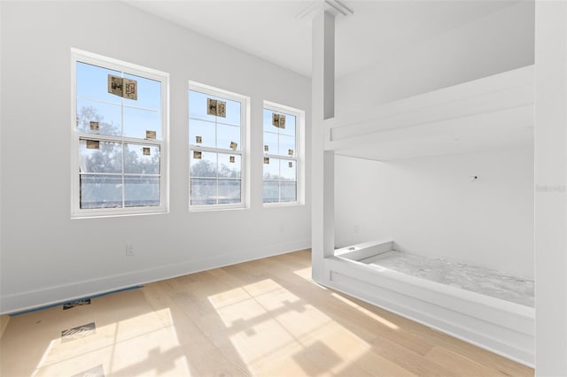 interior space featuring hardwood / wood-style floors and a wealth of natural light