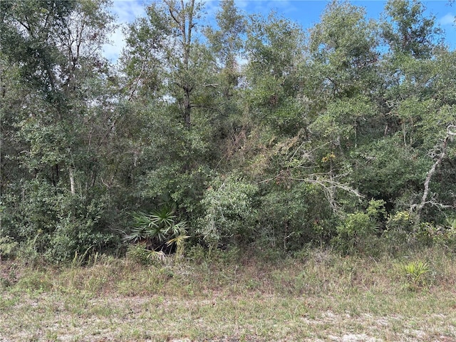 Wagers Dr, Webster FL, 33597 land for sale