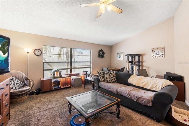 2044 Sheffield Ct, Oldsmar, FL 34677 - photo 4