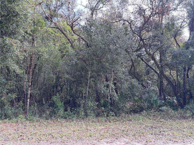 Alloy St, Webster FL, 33597 land for sale