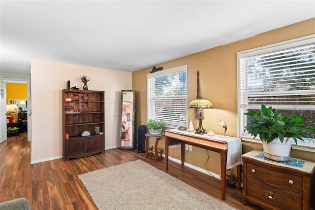 living area featuring dark hardwood / wood-style flooring and a textured ceiling