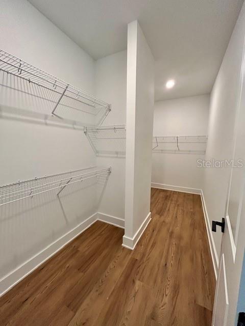 13400 Haflinger Way, Hudson, FL 34667 - walk in closet featuring wood finished floors