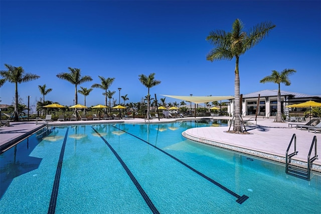 view of swimming pool featuring a patio