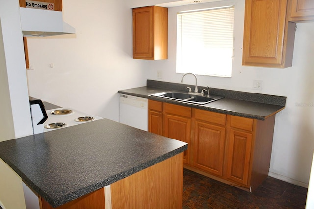 kitchen with sink, white dishwasher, stove, and ventilation hood