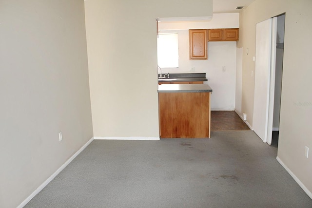 kitchen with dark colored carpet and sink