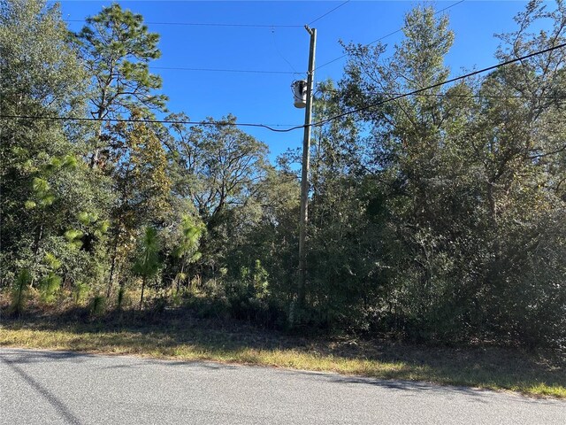 7991 N Tiny Lily Dr, Citrus Springs, FL 34434 - photo 2