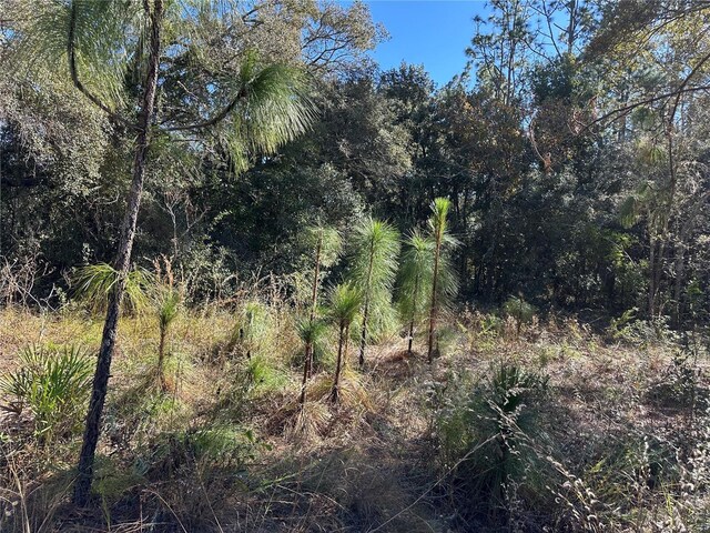 7991 N Tiny Lily Dr, Citrus Springs, FL 34434 - photo 4