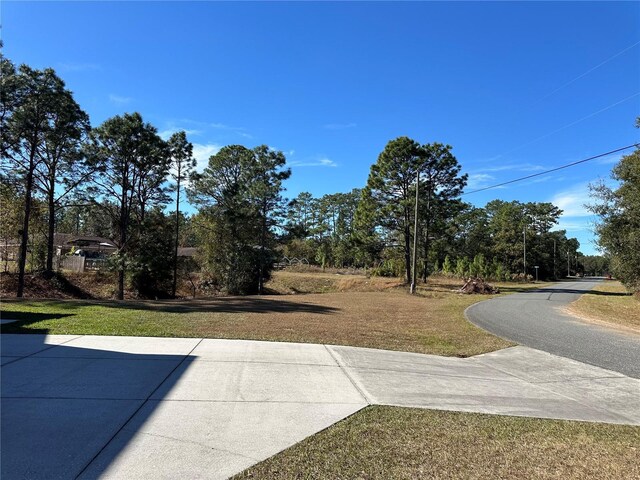 7991 N Tiny Lily Dr, Citrus Springs, FL 34434 - photo 8
