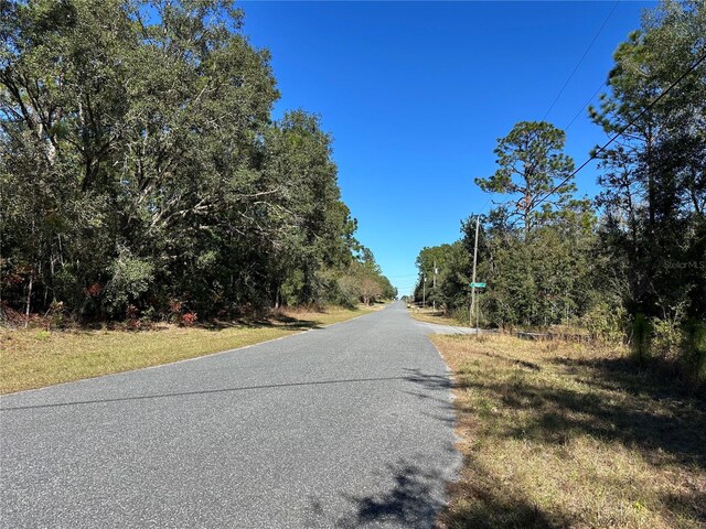 7991 N Tiny Lily Dr, Citrus Springs, FL 34434 - photo 10