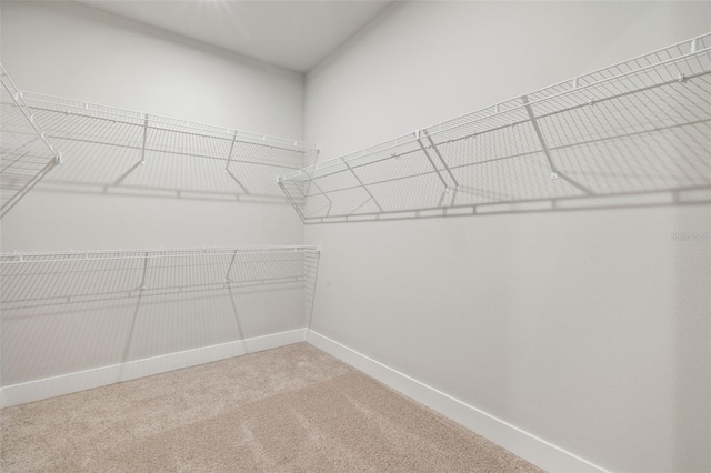 walk in closet with carpet