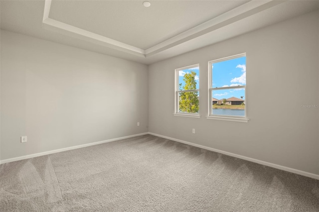 carpeted spare room with a water view and a raised ceiling