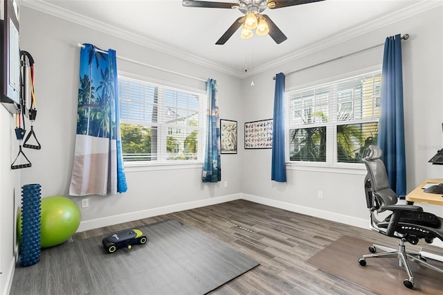 office space featuring hardwood / wood-style flooring, ceiling fan, and ornamental molding