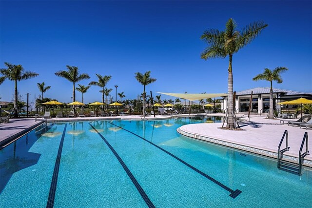 12170 Meditation Trl, Venice, FL 34293 - community pool with a patio