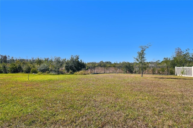 view of yard featuring a rural view