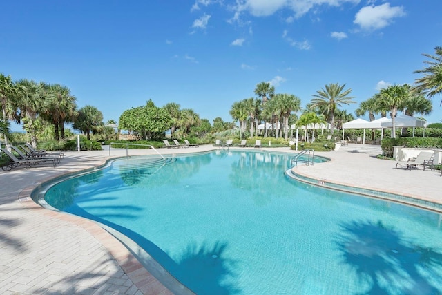 view of pool featuring a patio area