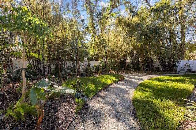 exterior space with a lawn