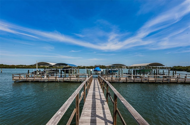 dock area with a water view